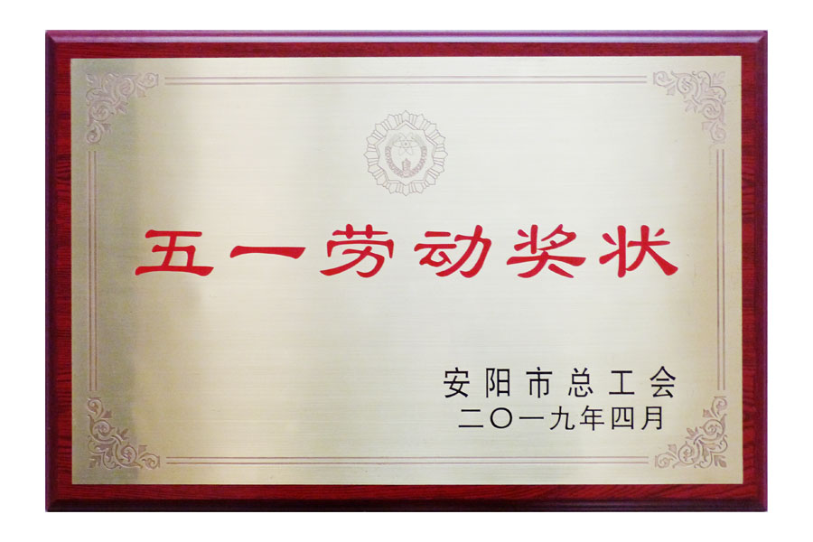 2019安陽市總工會“五一勞動獎?wù)隆?>
                                <div   id=
